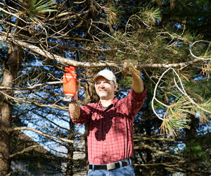 Minichain Saw a 447 LEU