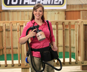 Total Painter a 380,00 PLN