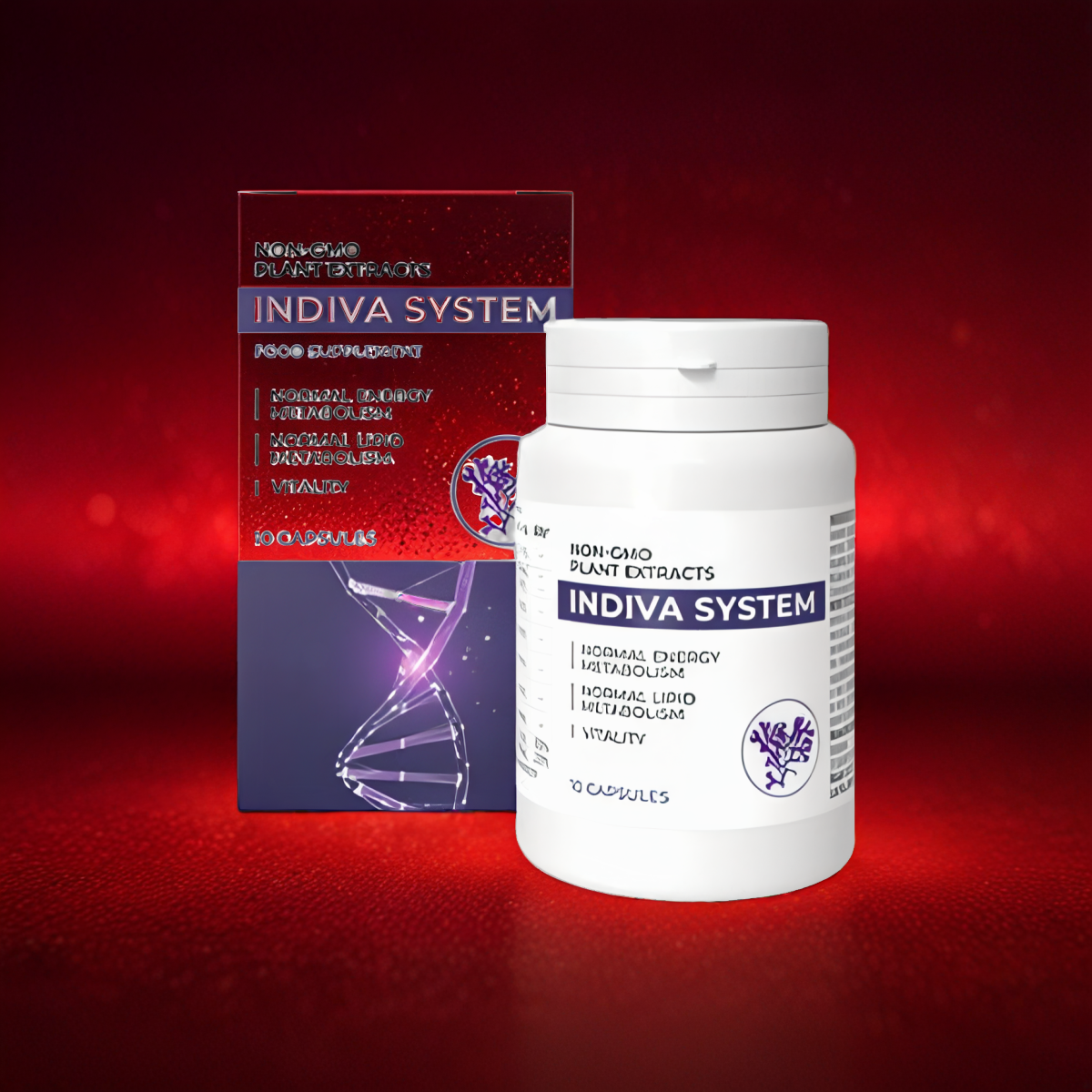 Indiva System Low Price