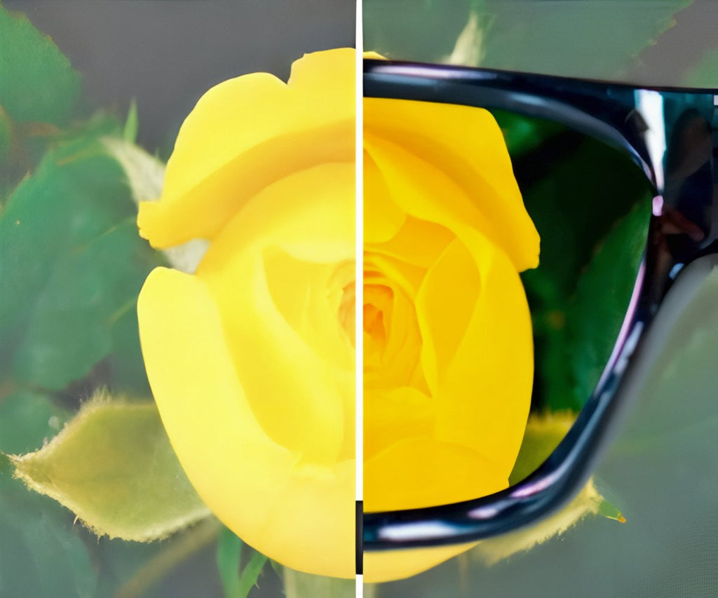 Polaryte Photochromic 2x1 a 298 LEU